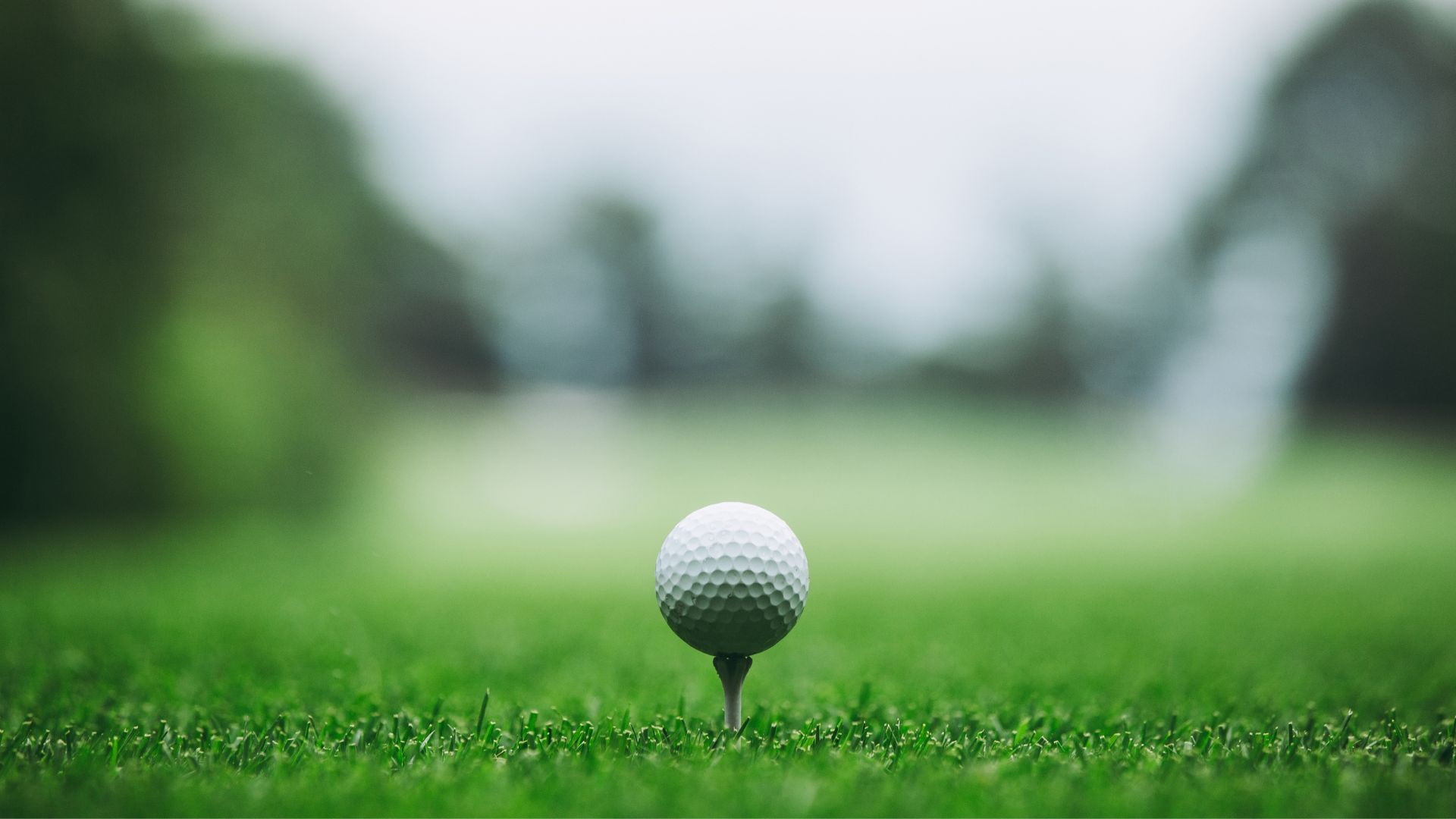 Attirez plus de sponsors pour votre club de Golf