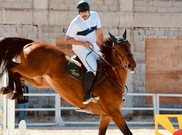 Attirez plus de sponsors pour votre club d’Équitation