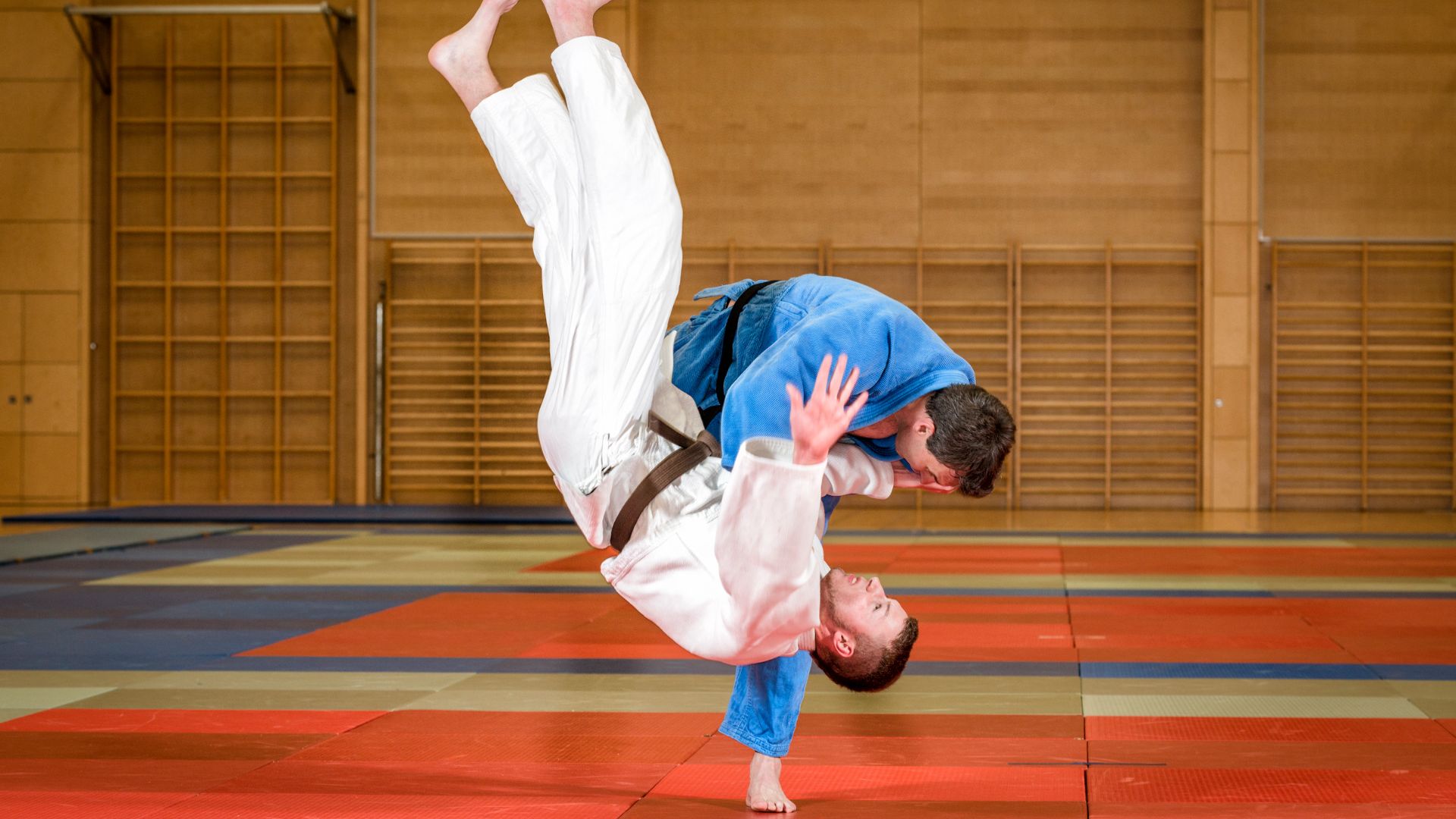 Obtenez le meilleur site de e-commerce pour votre club de Judo