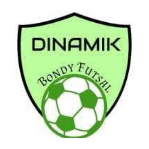 Dinamik Bondy Futsal - Ancien logo